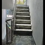 Muric לובליאנה