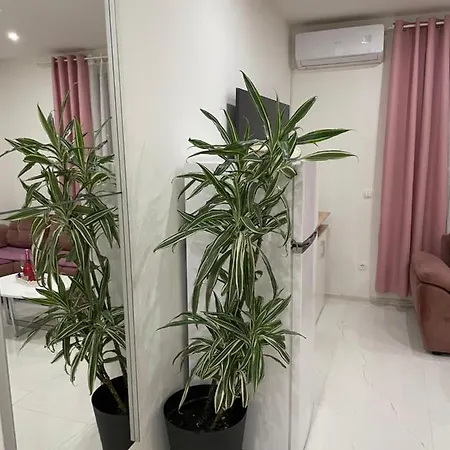 Muric Apartment *
