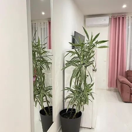 Apartment Muric *