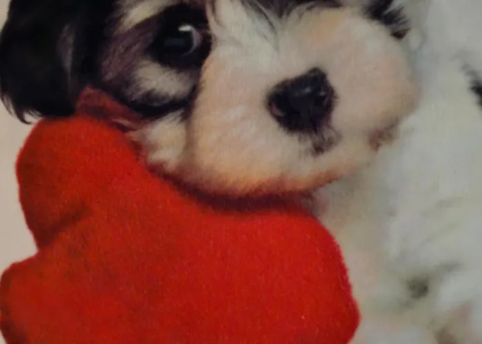 Muric 卢布尔雅那